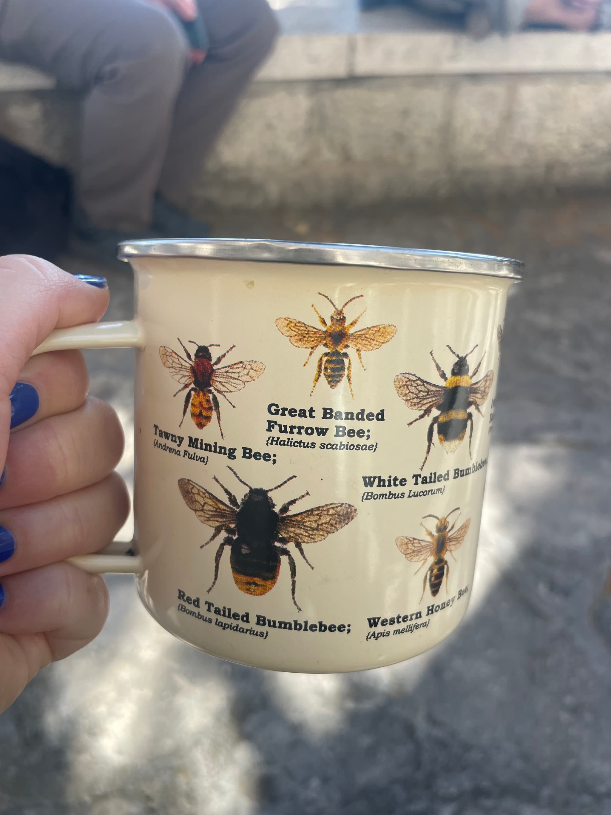 15 August: International Honey Bee Day