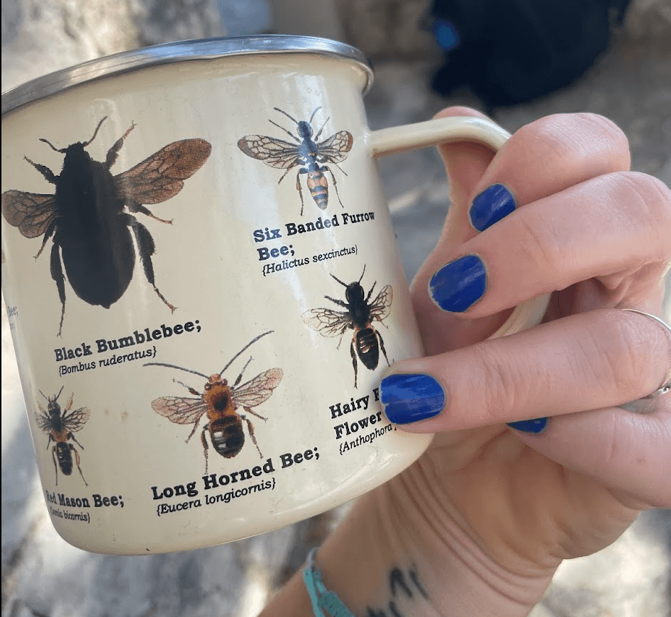 Black Bumble and Long Horned Bee