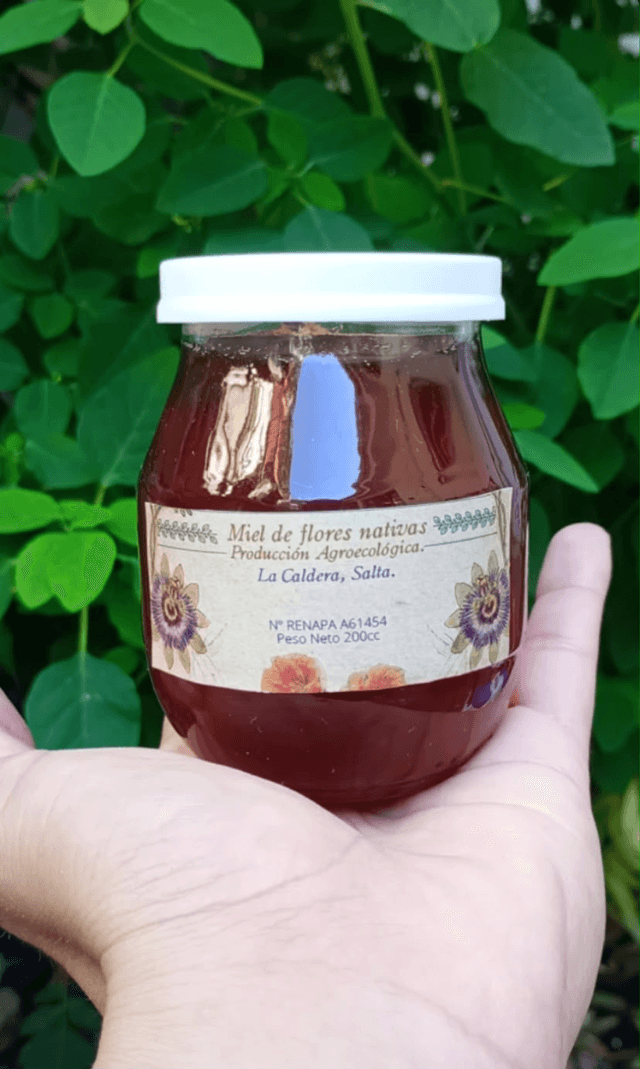 Pure Agroecological Honey