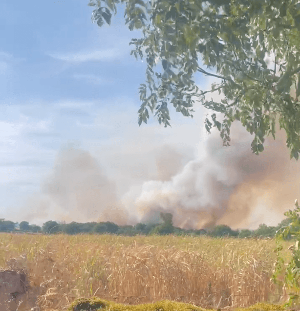 France Under Extreme Heat: What This Summer Reveals About the Future of Energy