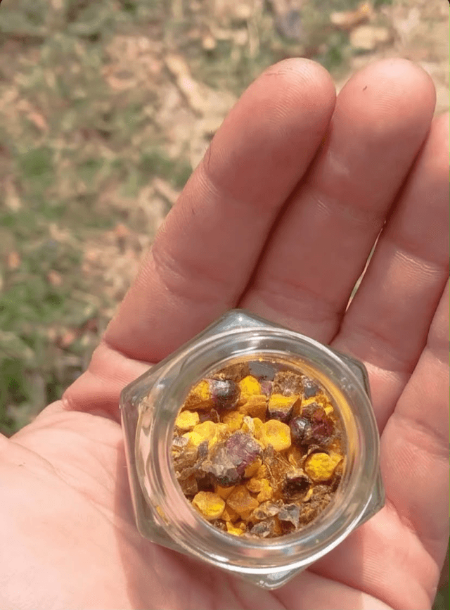 Bee pollen