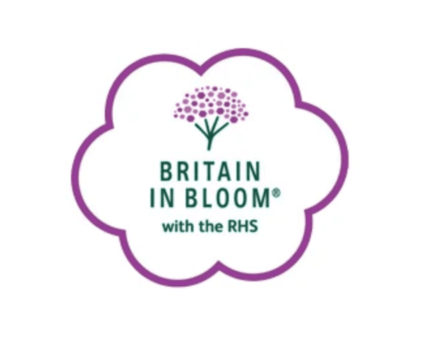 Organisations to help pollinators - free seeds