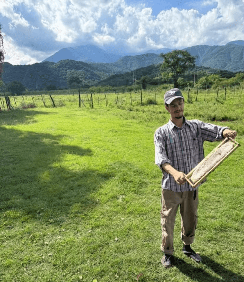 Learning to Listen to the Hive: A conversation with Argentinian beekeeper Martín Faraldo Paz