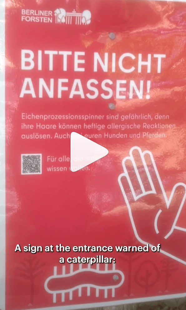 Park entrance warning in Berlin: be aware of caterpillar plague
