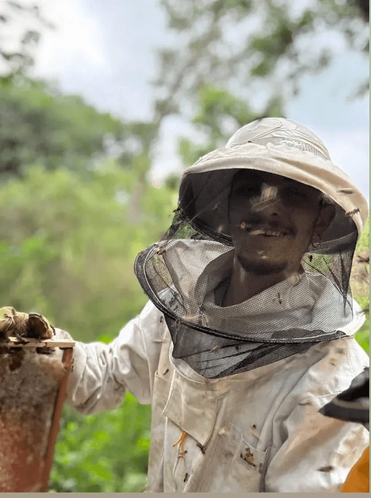 From amateur to professional: beekeeping is one of those crafts where you improve by staying close to nature