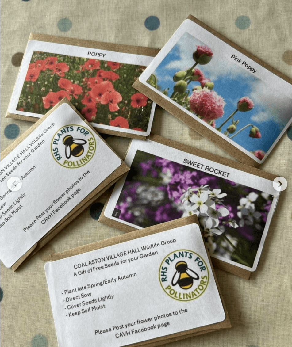 Organisations to help pollinators - free seeds @COALASTONVILLAGEHALL