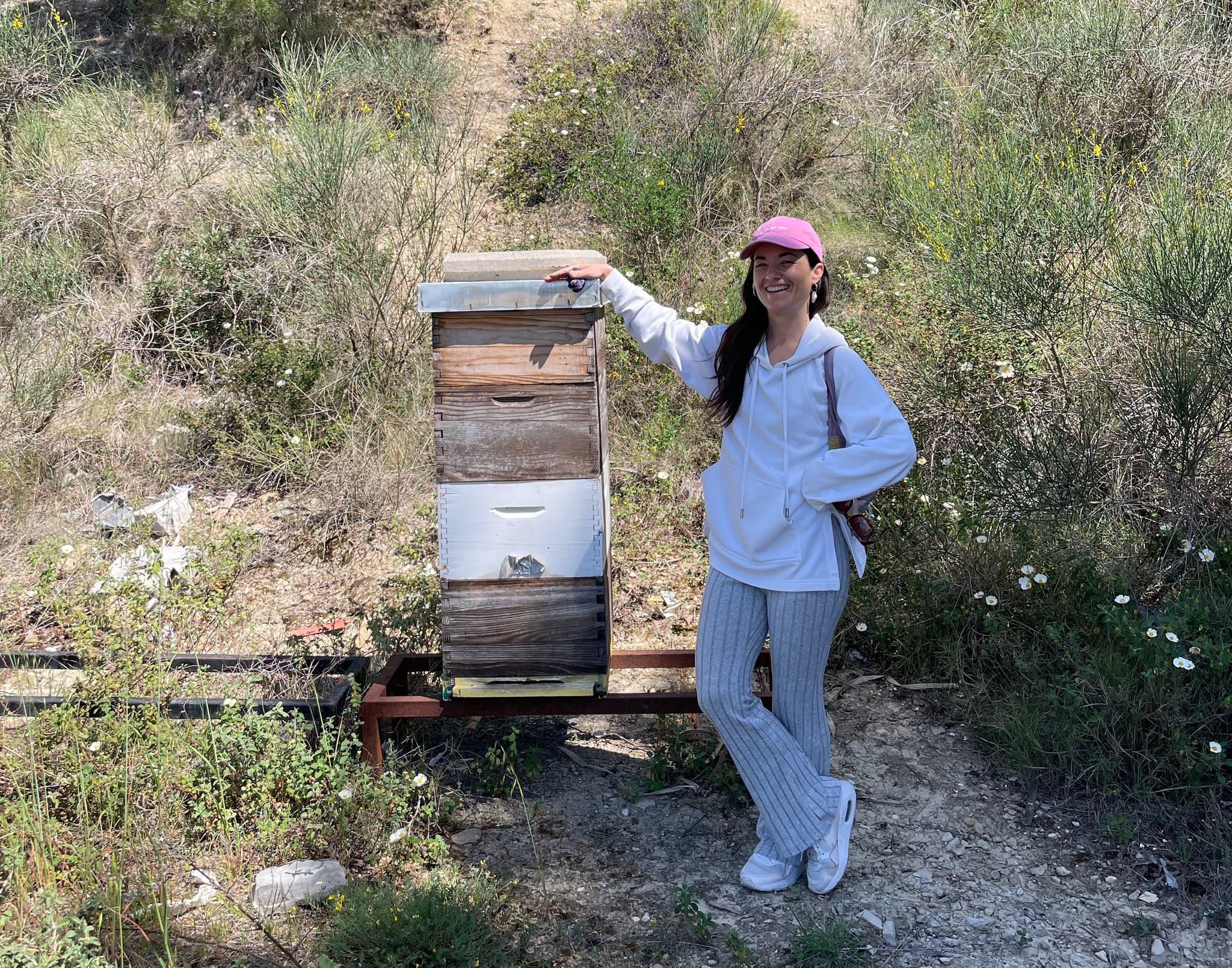 A natural beehive in daylight