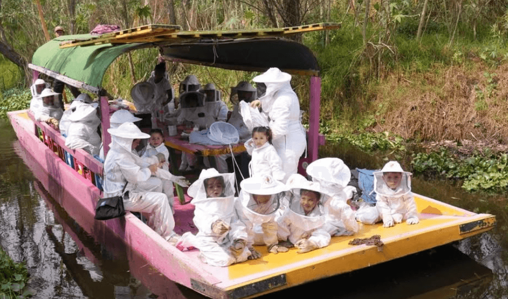 "Family day: away from screens, closer to nature" is the invitation of Abejas de Barrio in México