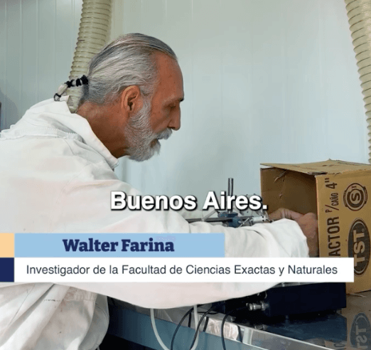 Teaching Bees to Choose the Right Bloom: How Argentina Is Directing Pollinators Towards Priority Crops